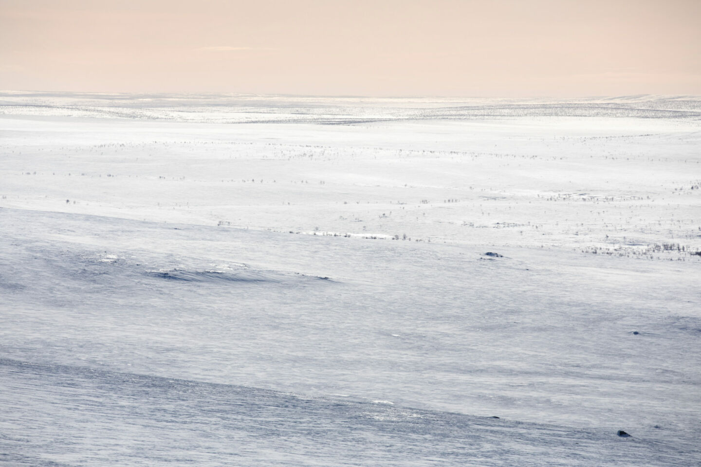 Tundra-like vista in Utsjoki, Finland