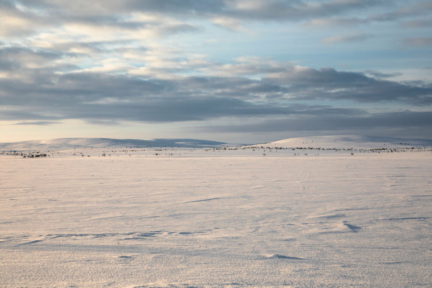 Tundra colors in winter in Utsjoki, Finland