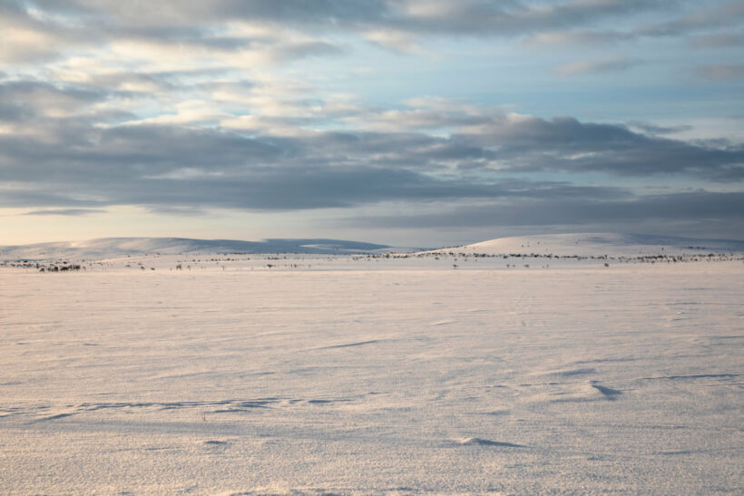 Tundra colors in winter in Utsjoki, Finland