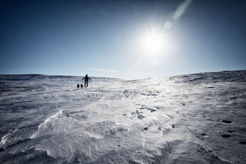 Sunshine over the tundra in Utsjoki, Finland