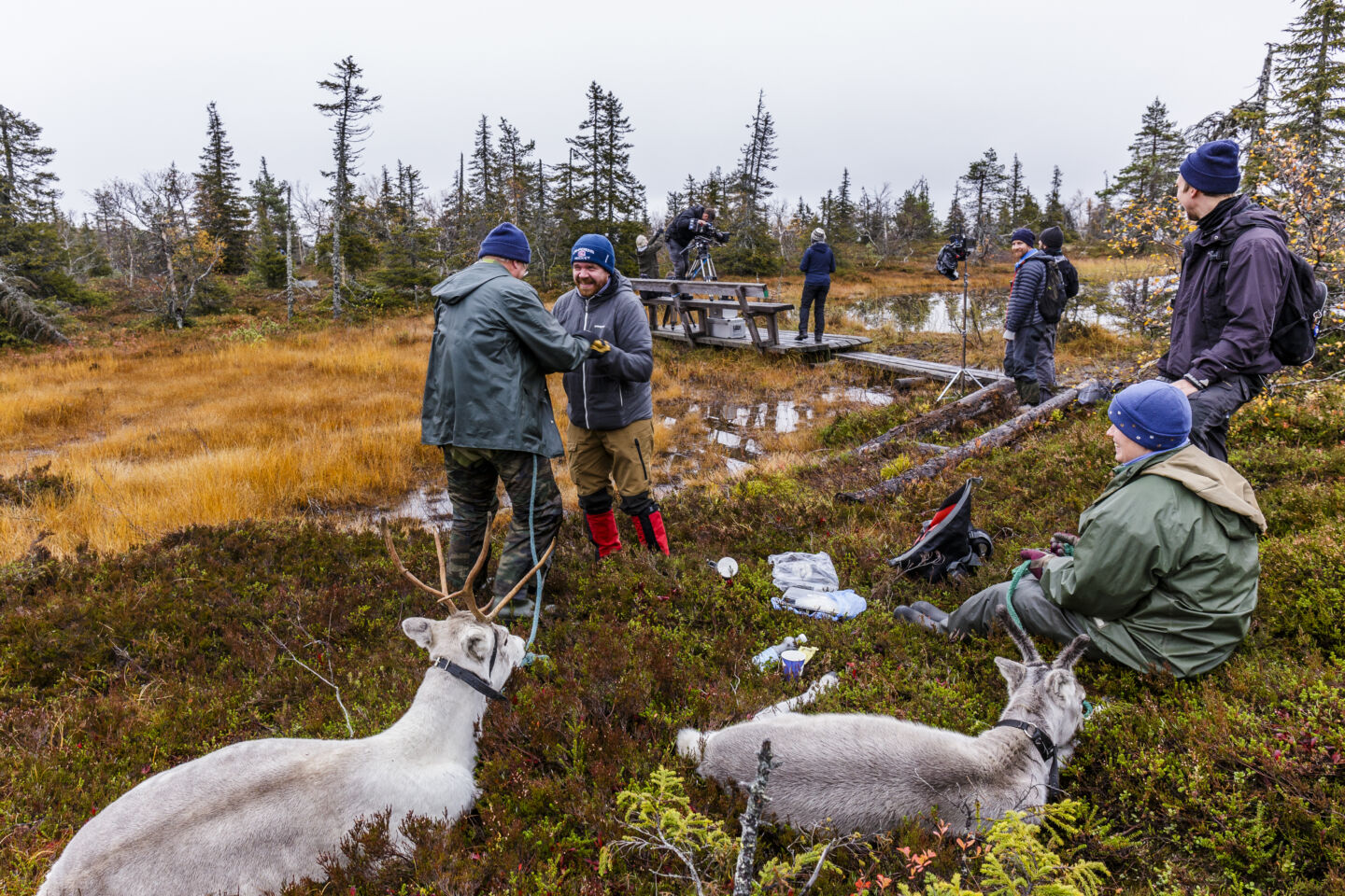 Filming Ailo's Journey in Lapland, Finland