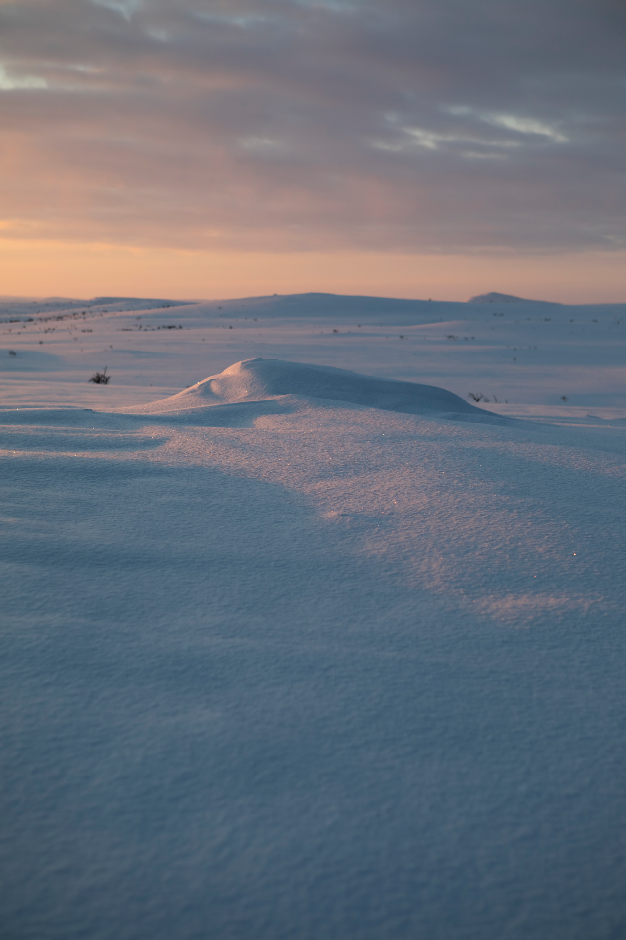 Winter colors in the tundra in Utsjoki, Finland