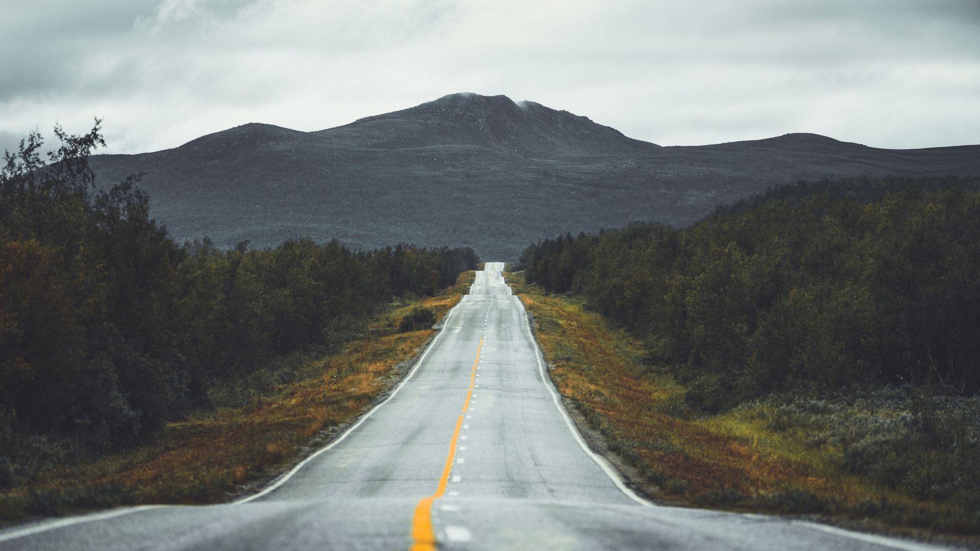 A road runs through Kilpisjärvi, Finland. Learn more about Finnish Lapland.