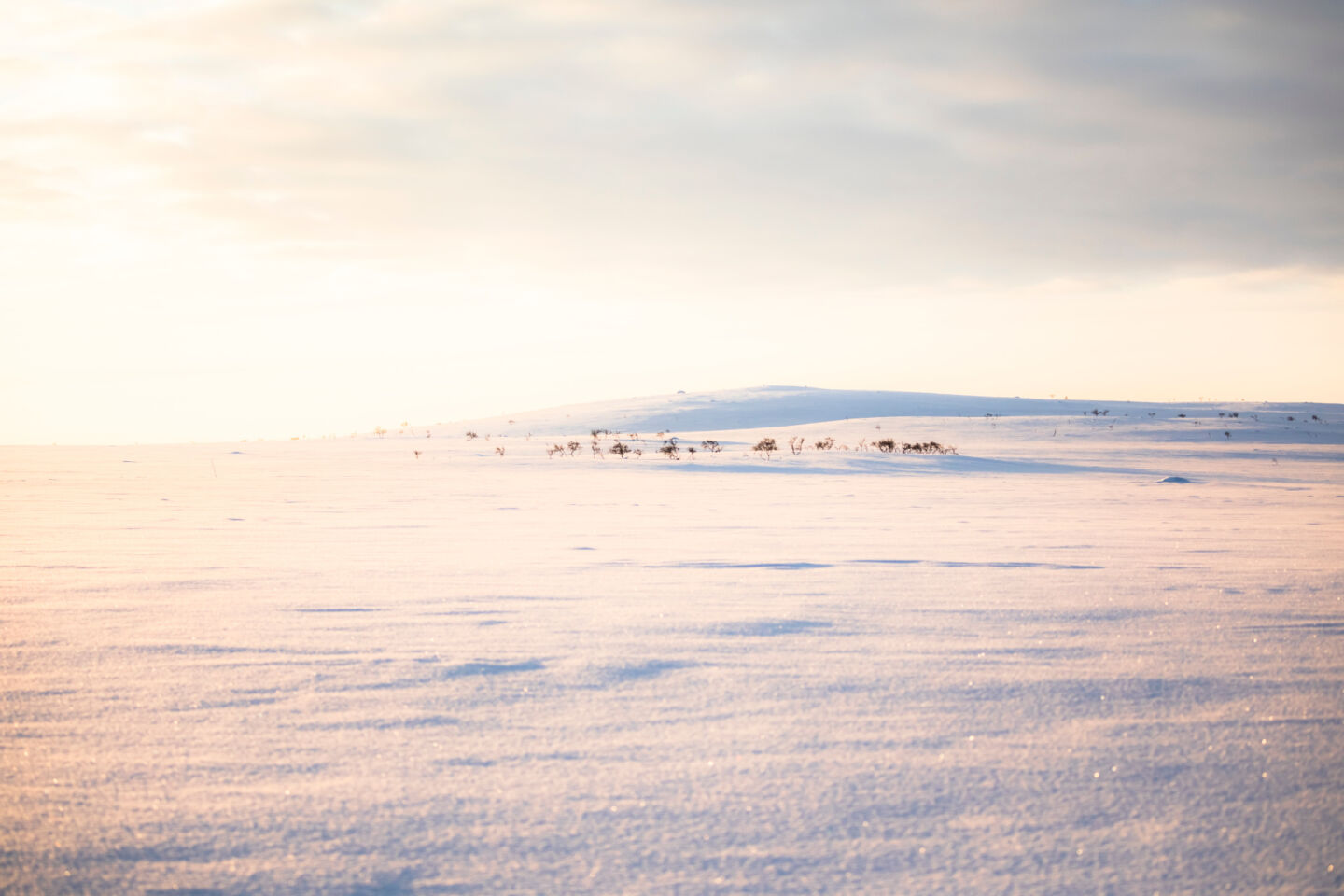 Sunshine on the tundra in Utsjoki, Finland