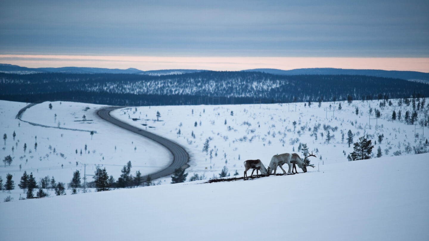 A road cuts through snowy Lapland