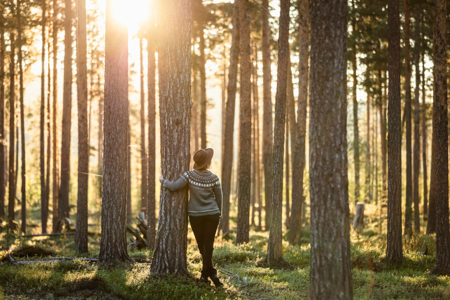 Finnish Lapland, home of Europe's last wilderness film locations