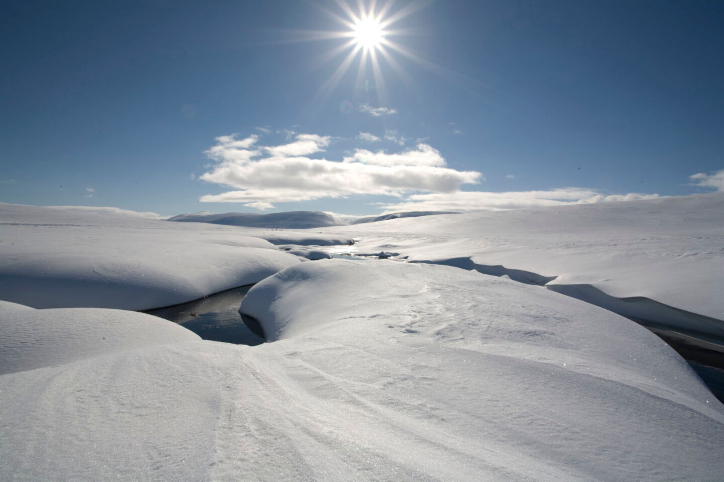 Blinding spring snow in the northern wilderness of Enontekiö, Finland