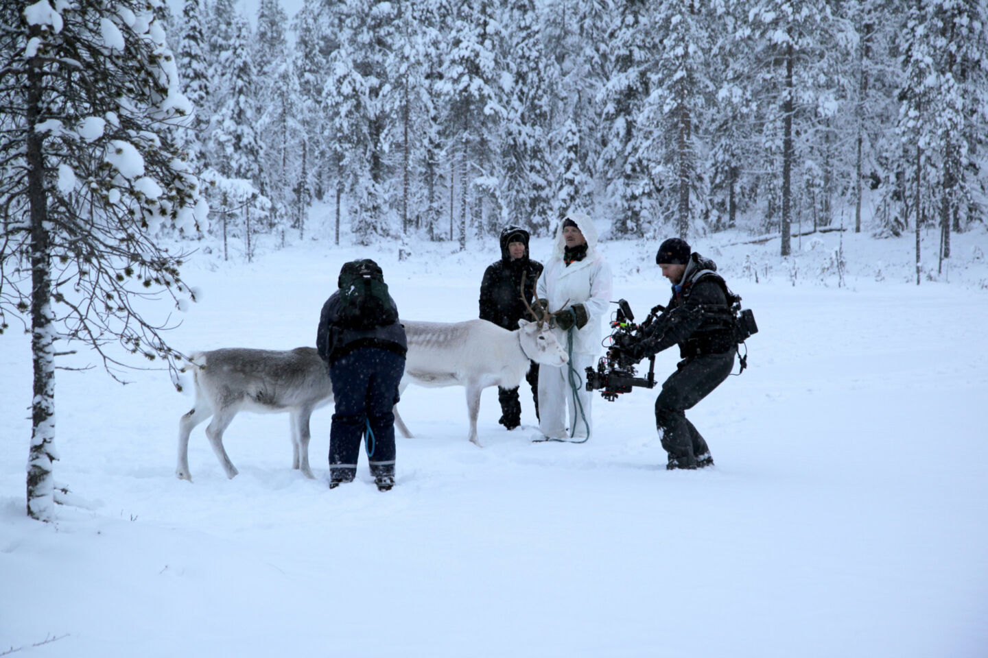 Film production services, even in wilderness locations in Finnish Lapland
