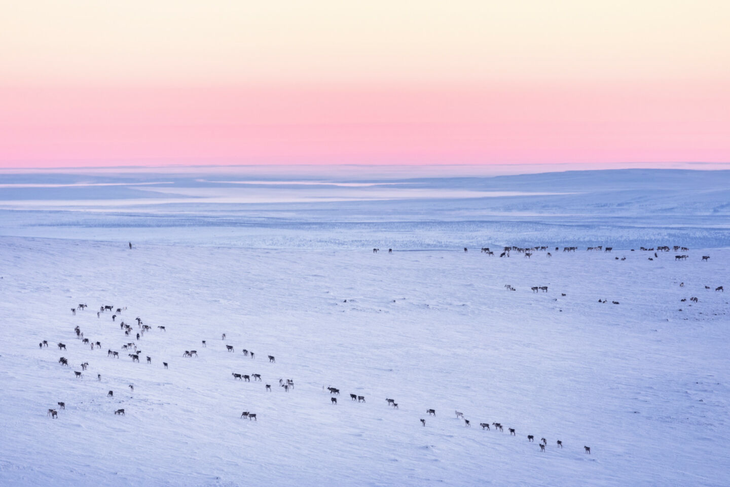 Polar night over a snowy plain, a wilderness film location in Finnish Lapland