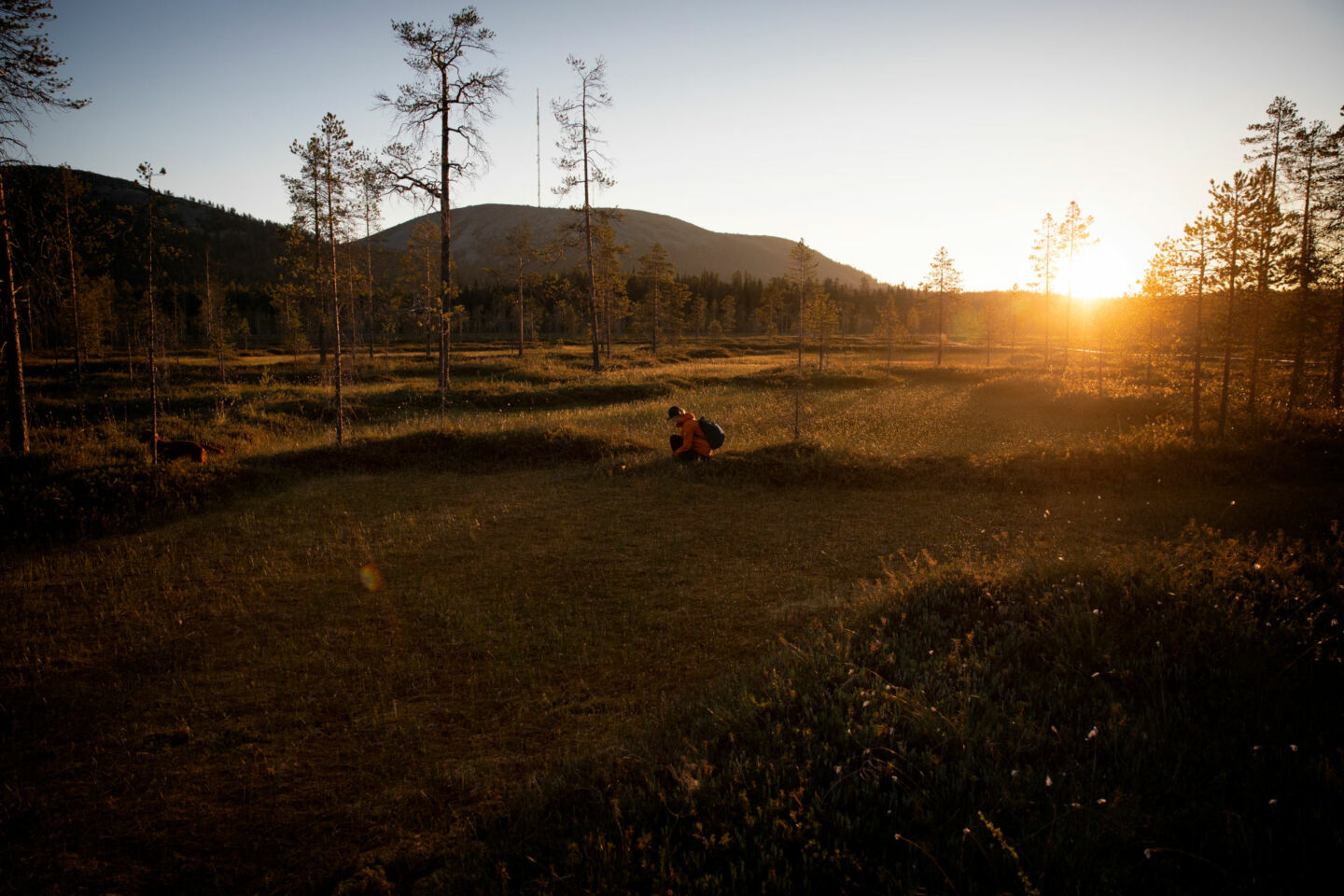 A marsh in Pelkosenniemi, a wilderness film location in Finnish Lapland