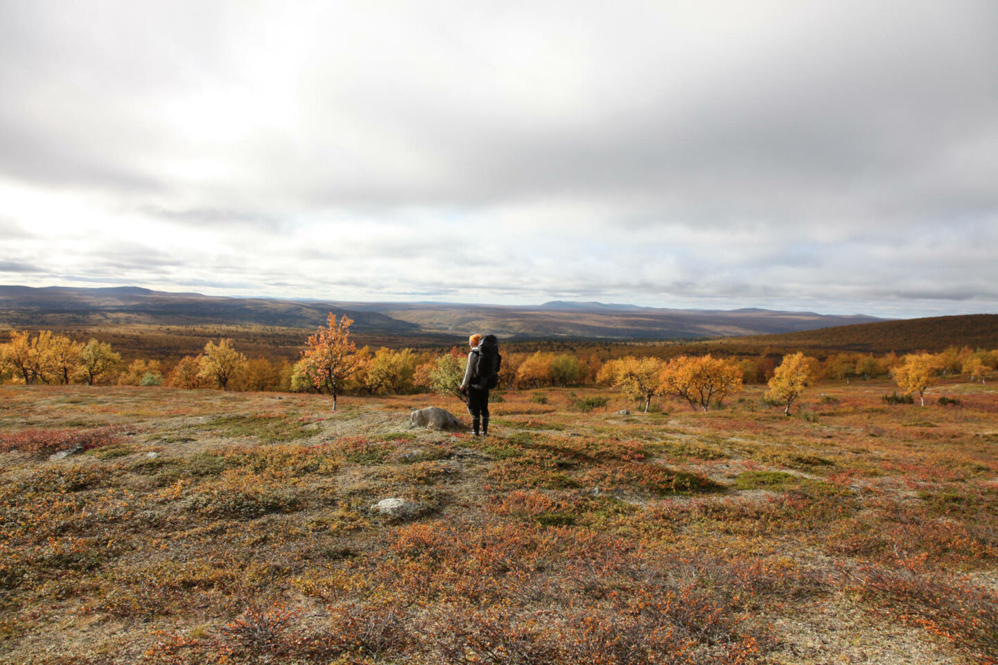 Everyman's Right means in most case and most places, no permit is required for filming in Finnish Lapland