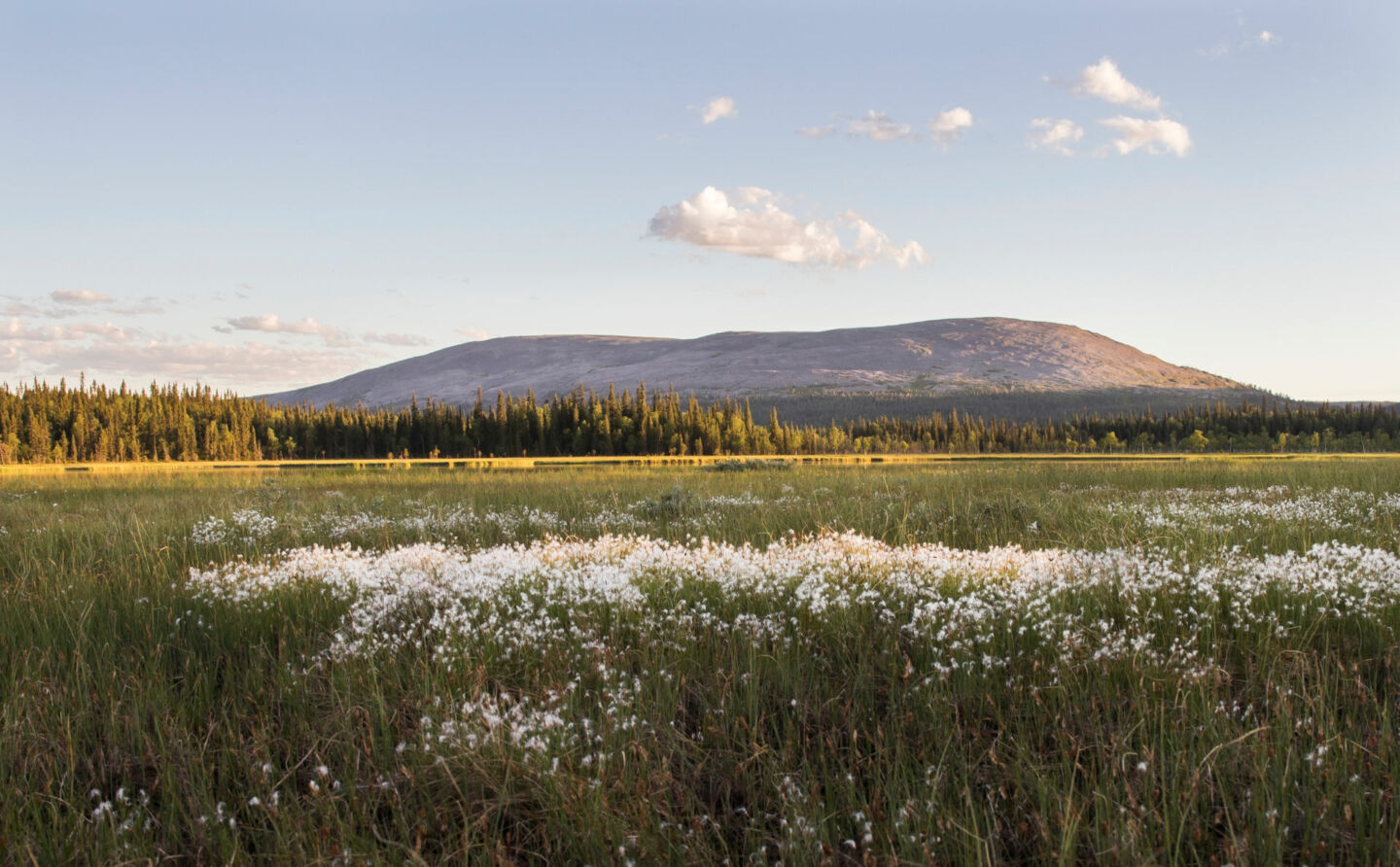 A distant fell in summer in Kittilä, a wilderness film location in Finnish Lapland