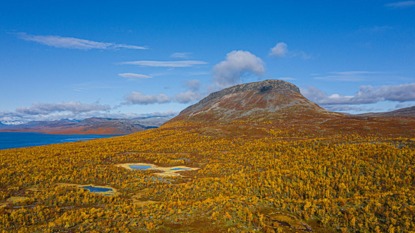 Autumn colors & Saana fell in Enontekiö, Finland