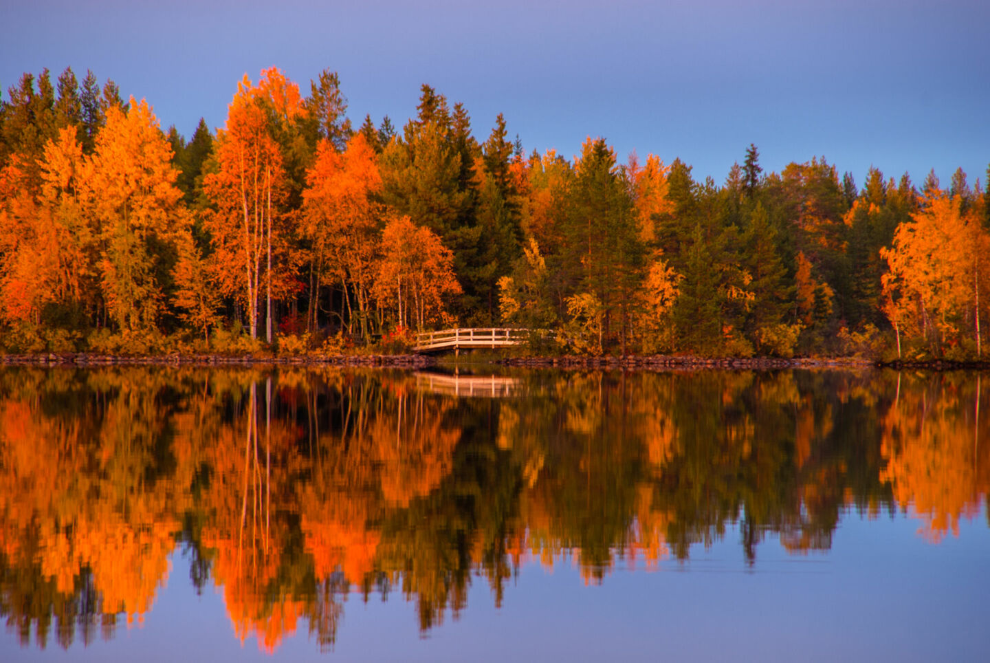 Autumn colors in Arctic Lapland