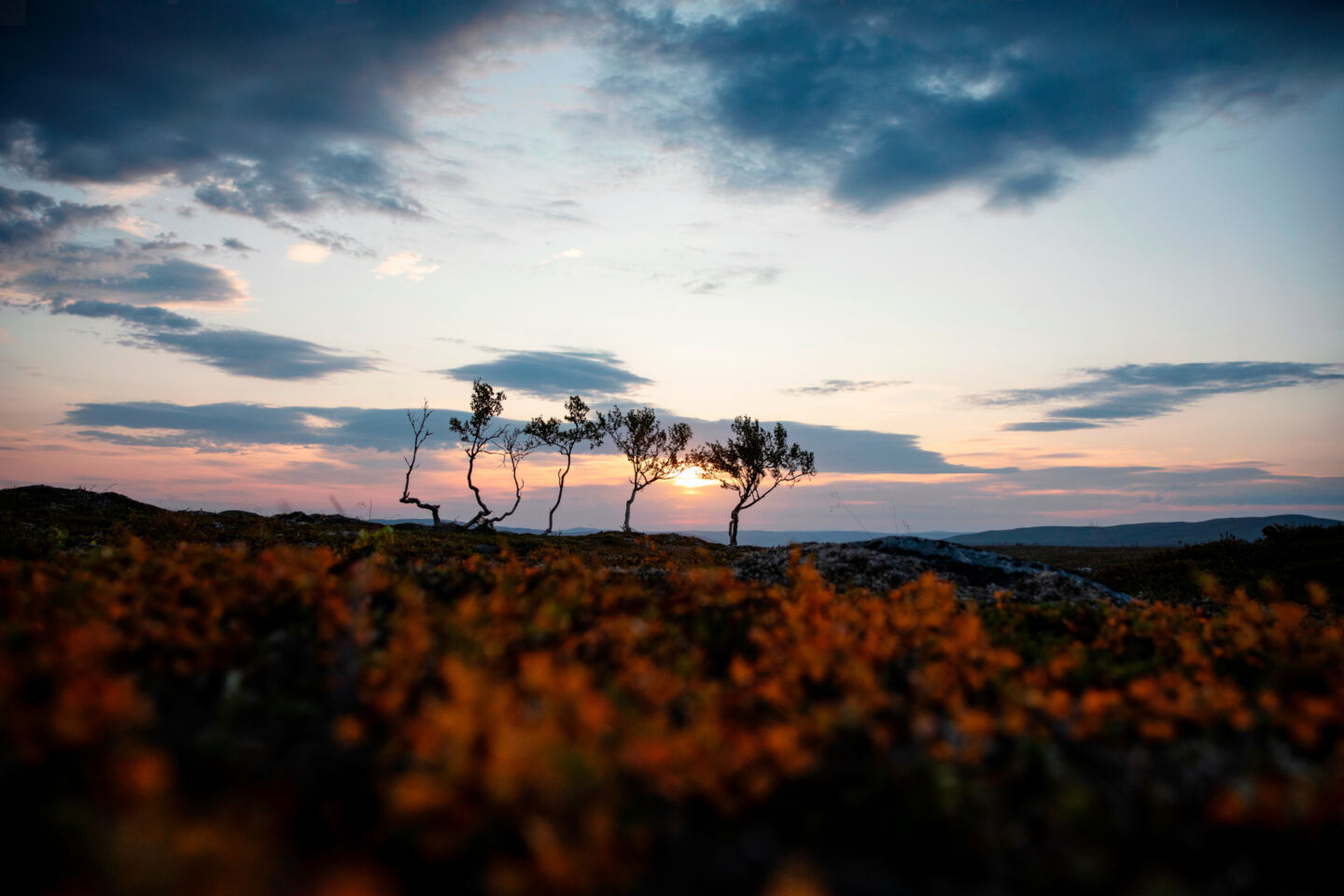 Autumn colors in Utsjoki, Finland, where Sisu was filmed