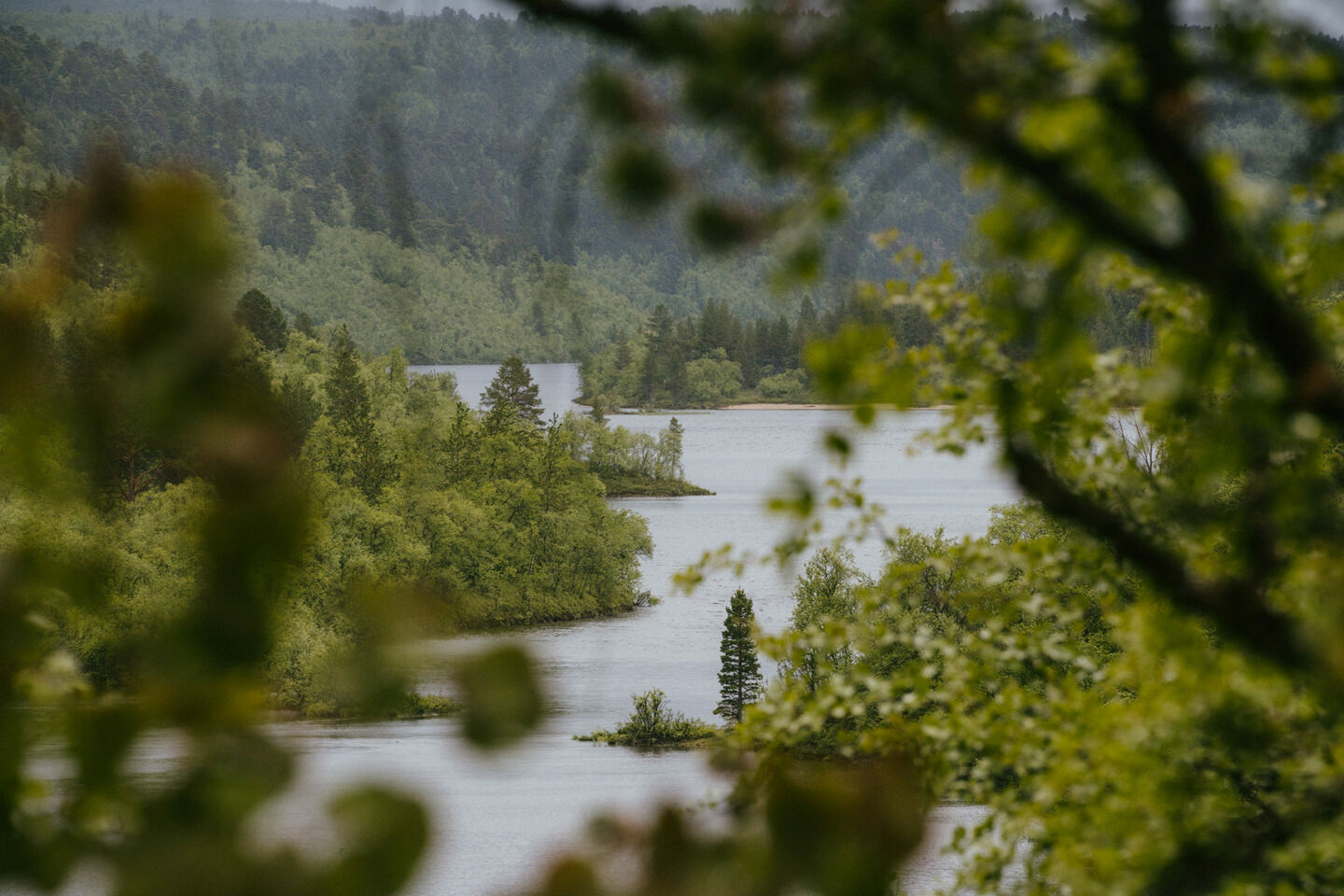 A green summer day in Utsjoki, a Finnish Lapland filming location