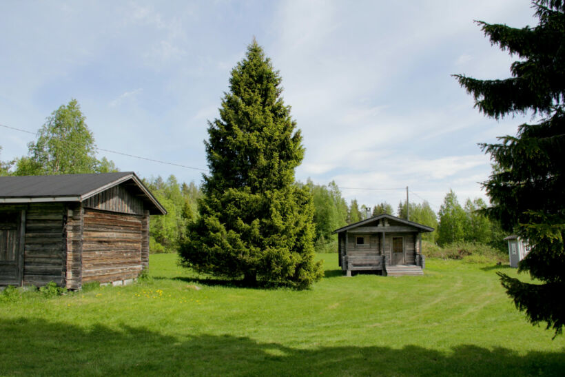 A green summer day at Hervanvaara in Ranua, a Finnish Lapland filming location