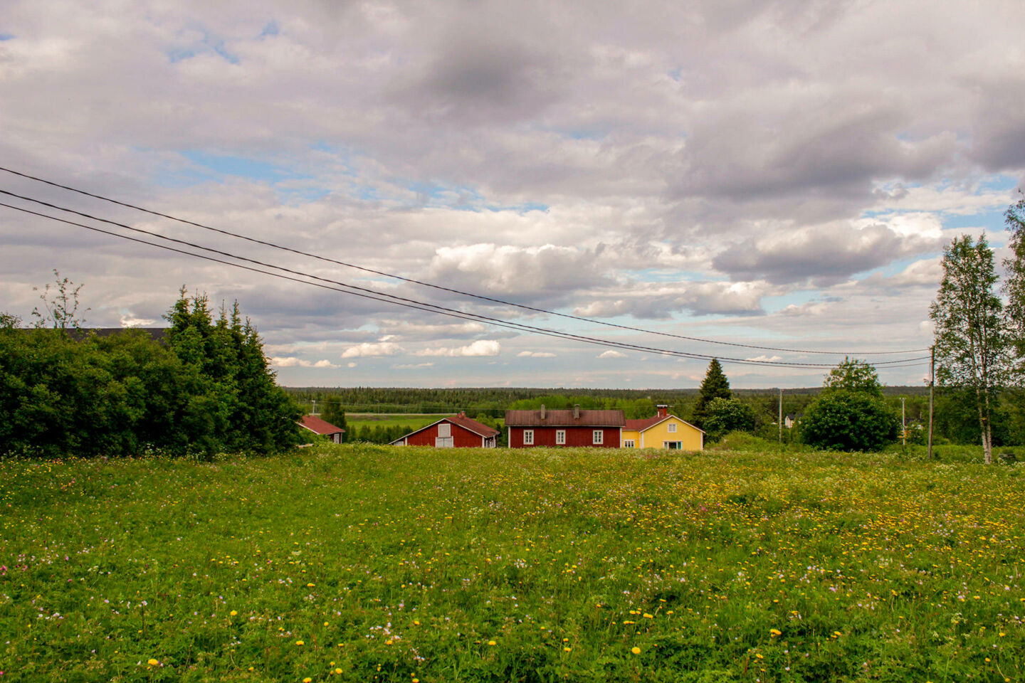 Countryside in summer in Kaukonen in Kittilä, Finland