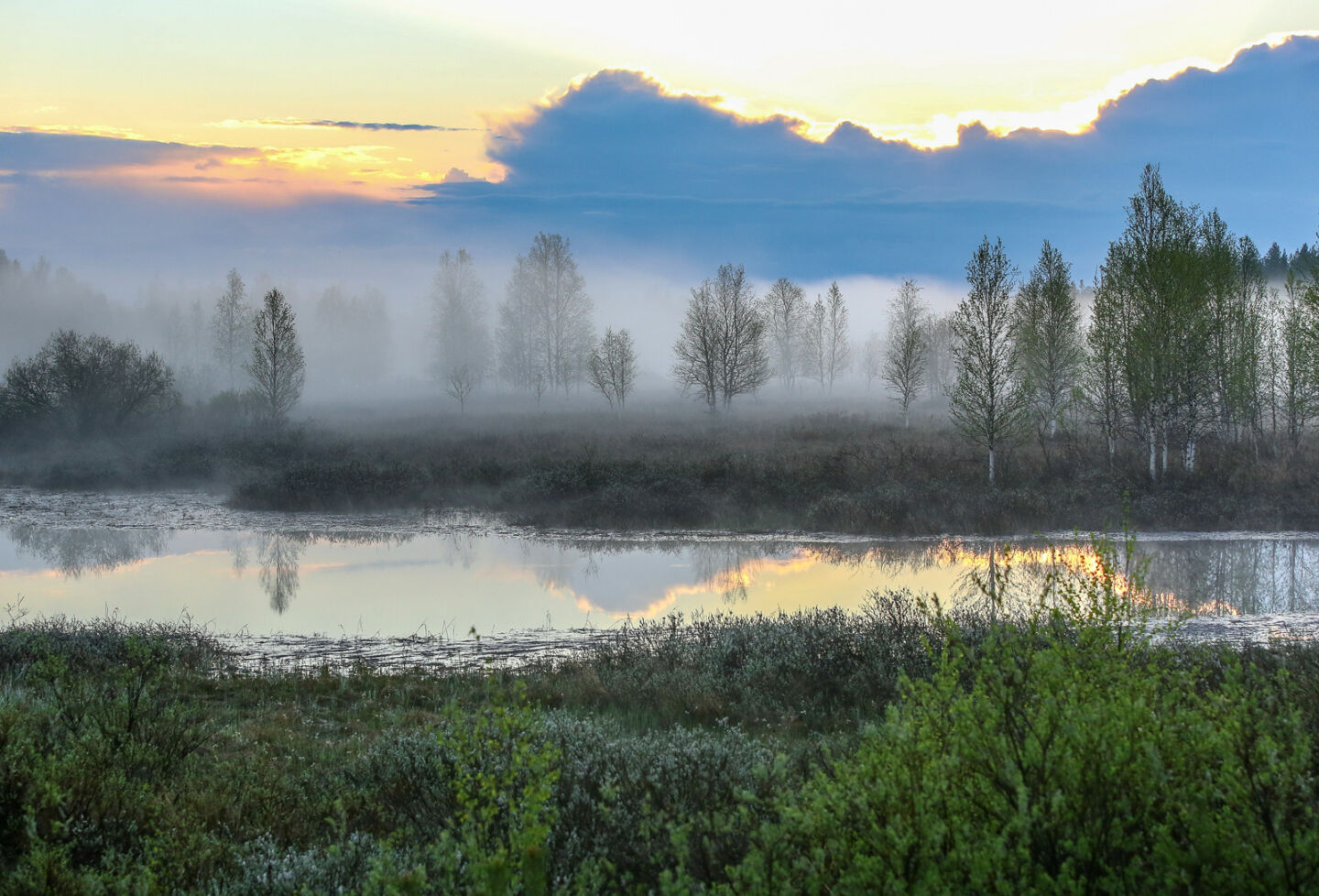 Foggy summer day over swampy Ranua, a Finnish Lapland filming location