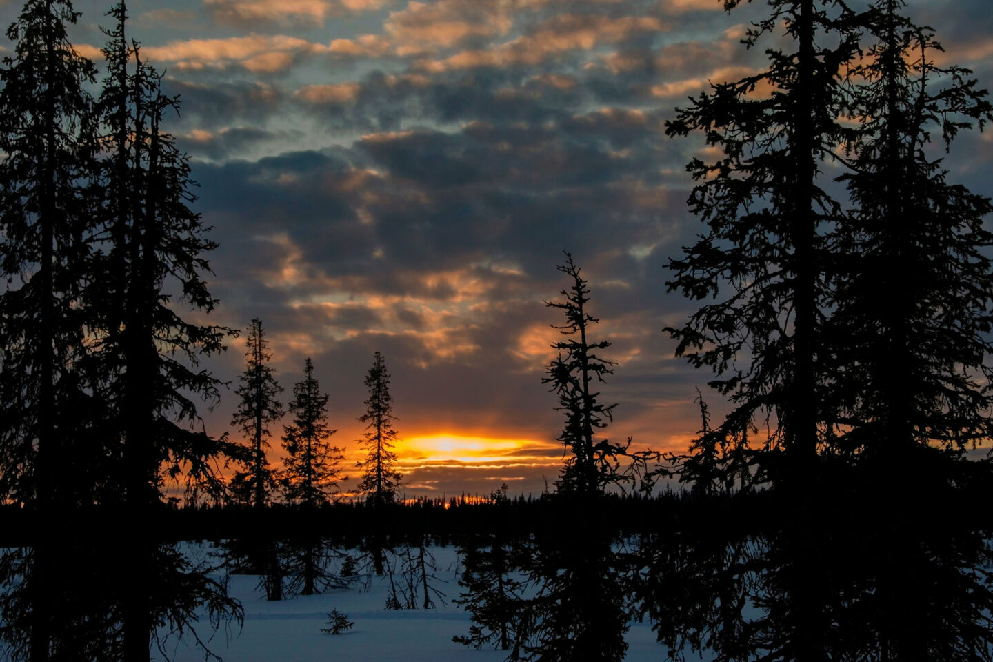 Sunset in winter in the wilderness of Savukoski, a Finnish Lapland filming location