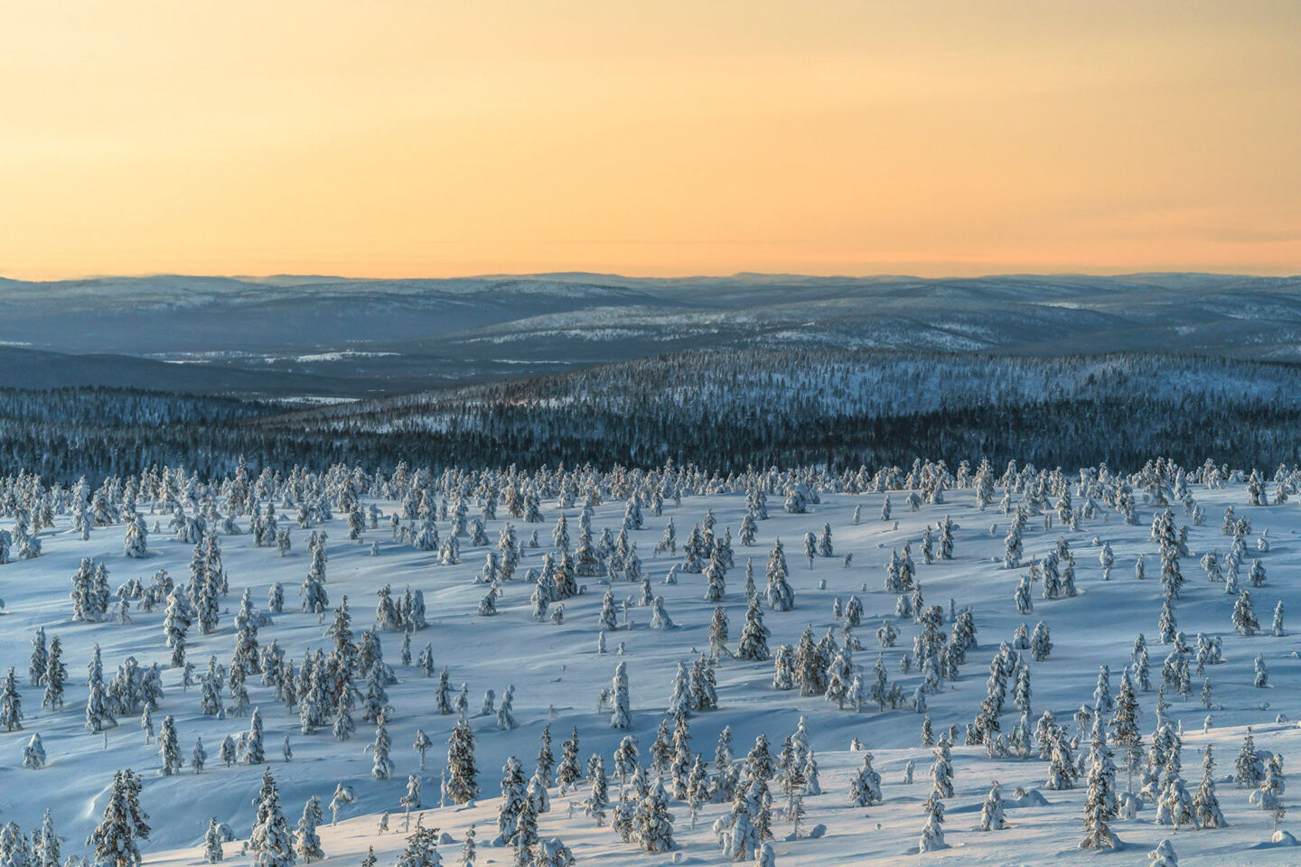 Snow covered Kurupää fell in Inari, Finland