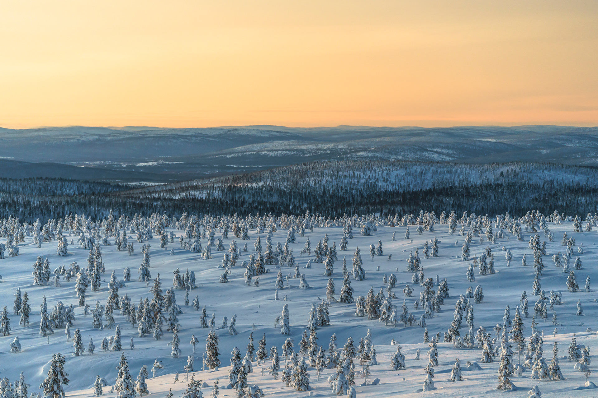 Inari Filming Northern Lapland Film Lapland