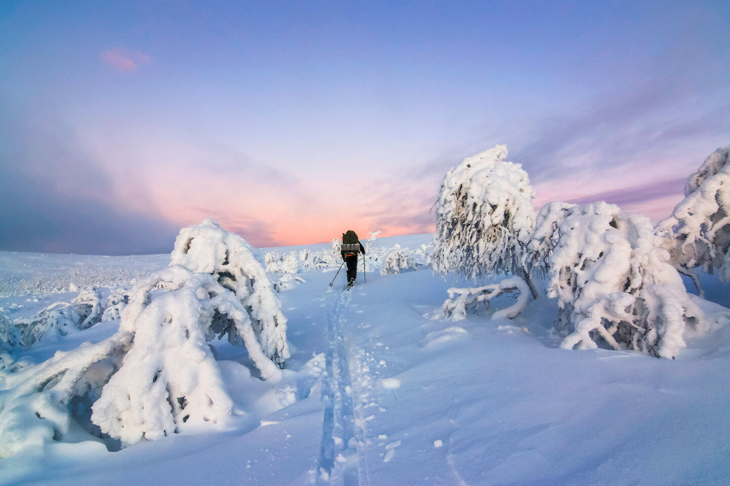 Polar night and a skiier in UKK National Park in Sodankylä, a Finnish Lapland filming location