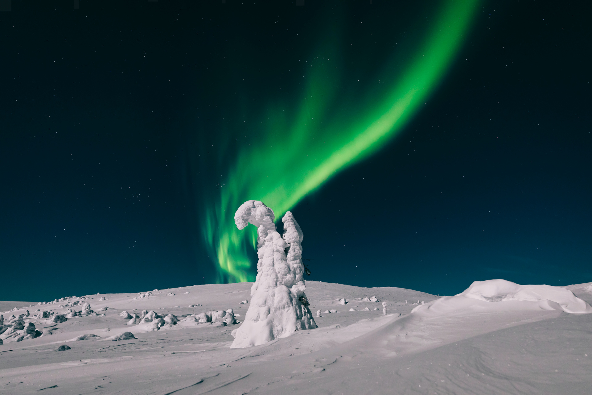 Northern Lights over a snow-crowned tree in Finnish Lapland, an Arctic holiday destination