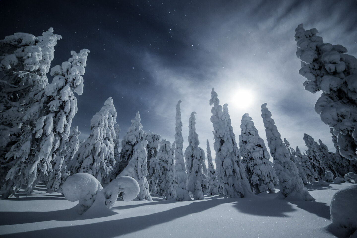 A snowscape lit up by the moon in Posio, a Finnish Lapland filming location