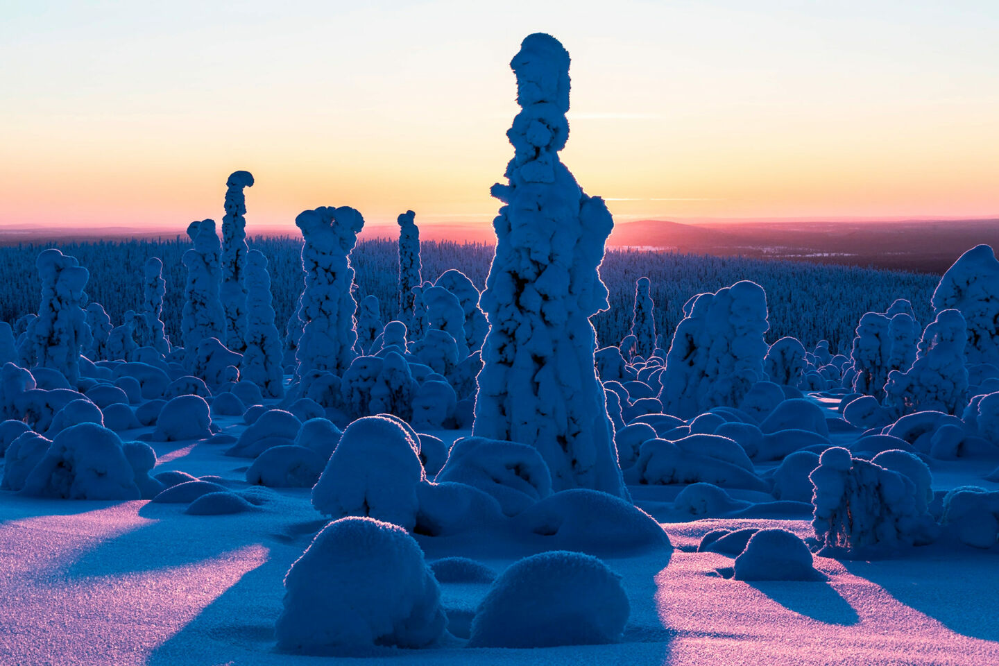 Polar night colors over a snowy Savukoski, a Finnish Lapland filming location