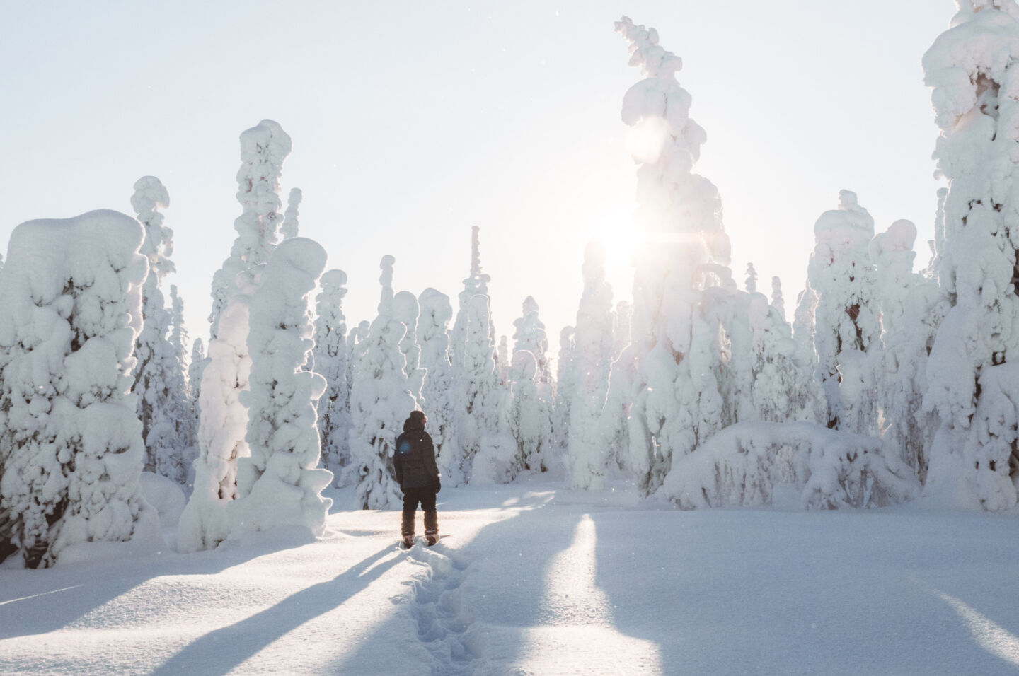 Hiking through the snowy trees in Riisitunturi National Park in Posio, a Finnish Lapland filming location