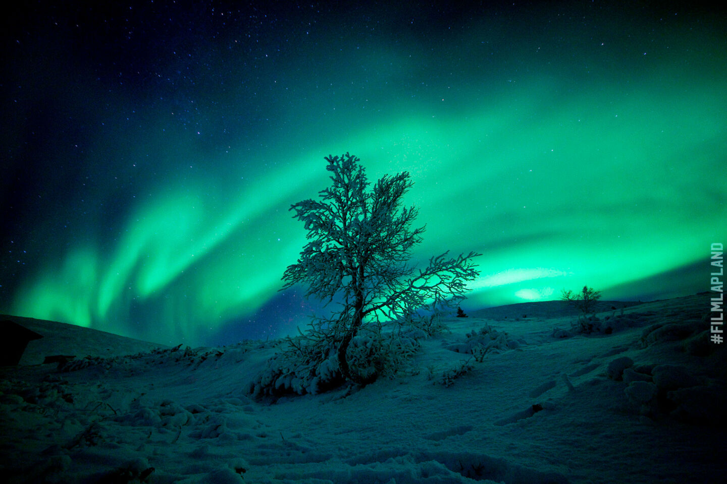 Northern Lights over a snowy forest, a Finnish Lapland filming location feature