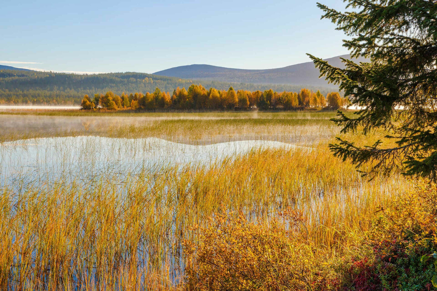 Autumn colors, a feature of filming in Finnish Lapland locations