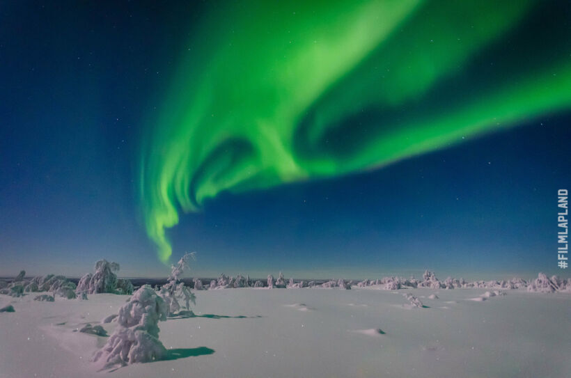 Northern Lights over a snowy forest, a Finnish Lapland filming location feature