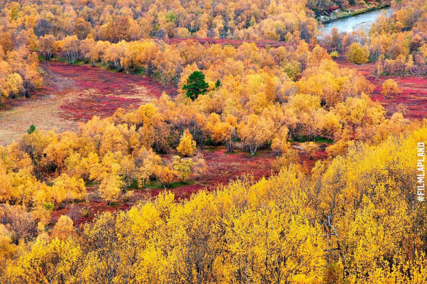 Autumn colors in Utsoki, a feature of filming in Finnish Lapland locations