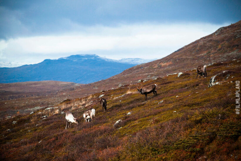 Arctic wilderness in Enontekiö, a feature of Finnish Lapland filming location