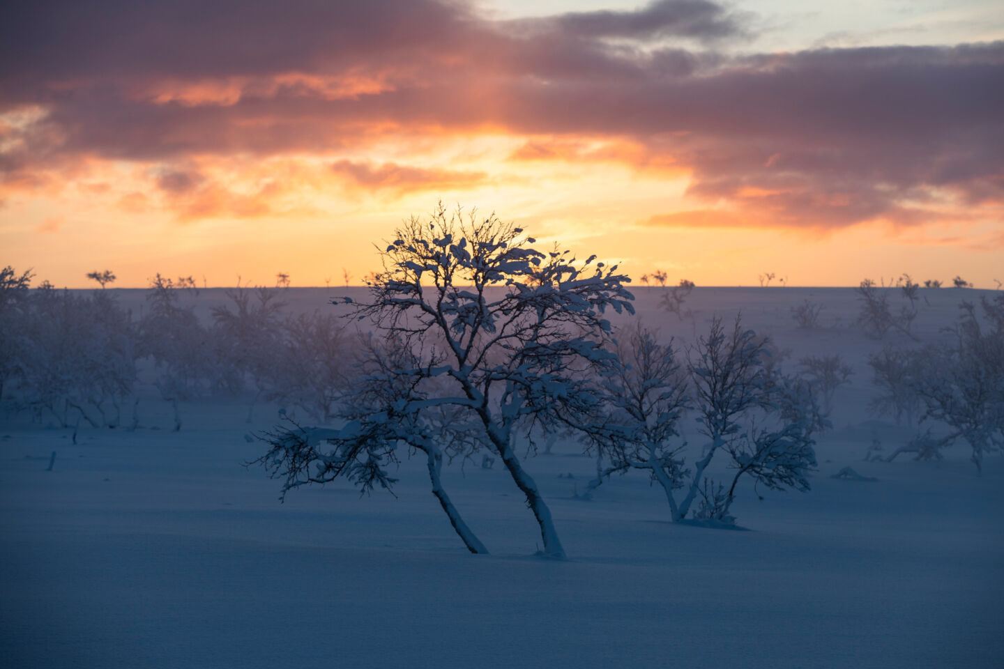 A sunset on a snowy day, a Finnish Lapland filming location