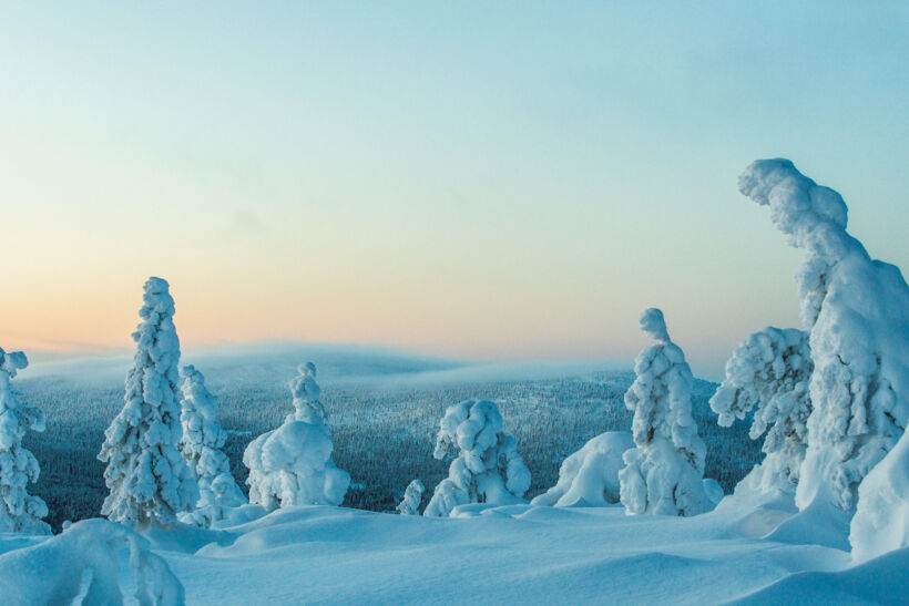 Snow-crowned trees on Sallatunturi fell in Salla, a Finnish Lapland filming location