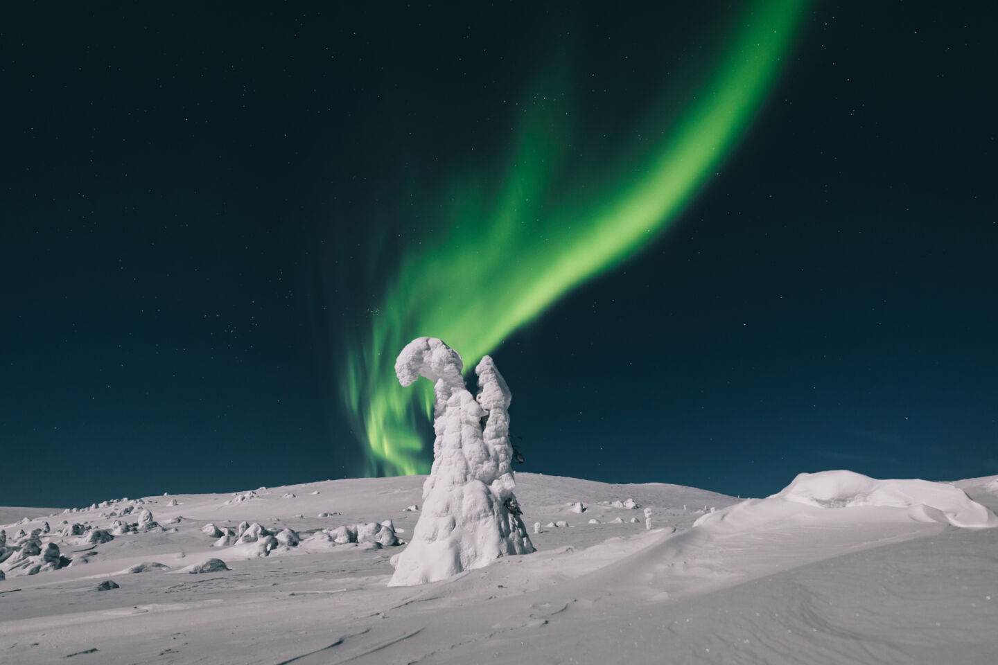 Northern Lights over a snow-crowned tree in Pallas, a Finnish Lapland filming location