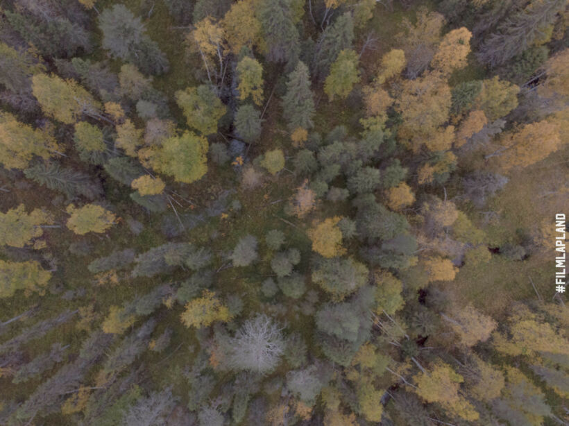 Autumn colors in Posio, a feature of filming in Finnish Lapland locations