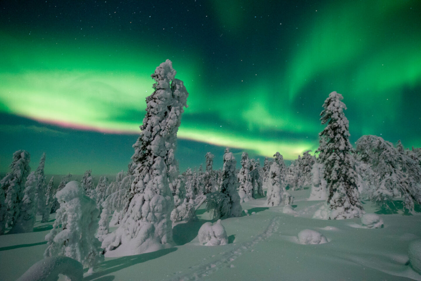Filming Northern Lights? You can't do better than the auroras above Finnish Lapland