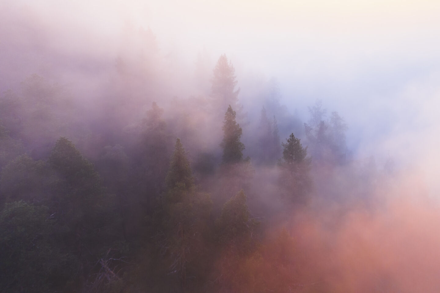 A misty autumn day in Finnish Lapland, the perfect place for your new job