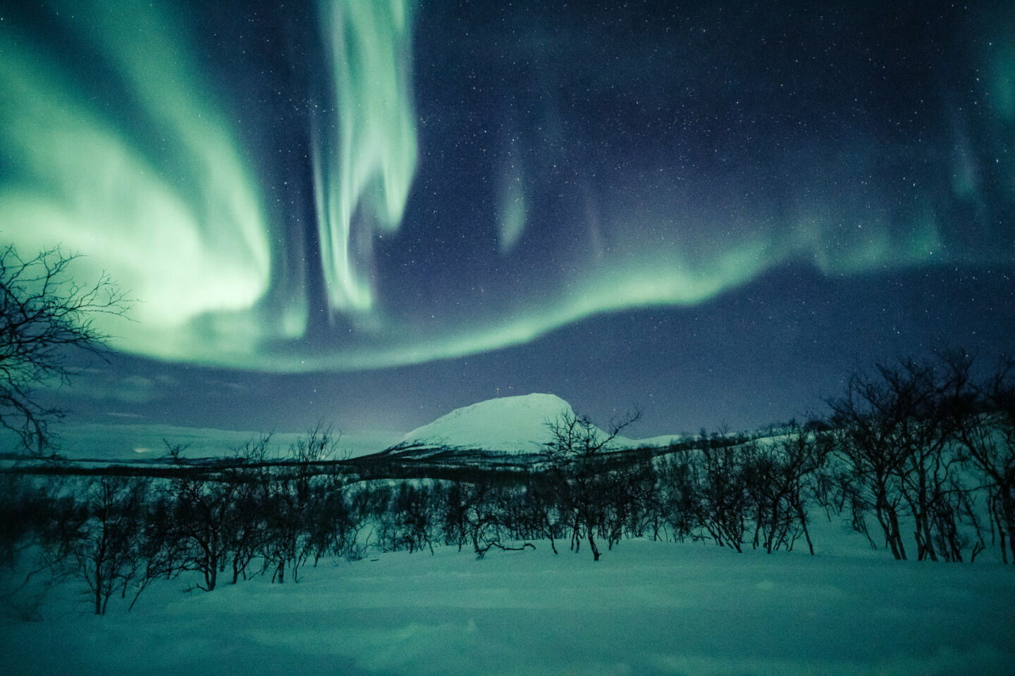 Guaranteed auroras, one of the many reasons to get a job in Finnish Lapland