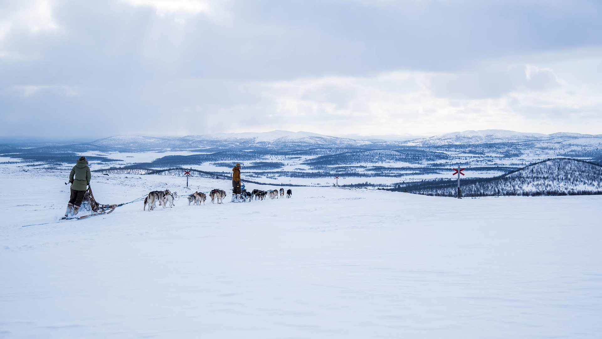 Taking husky dogs for a ride across the open snow; just one of the ways of working in Finnish Lapland