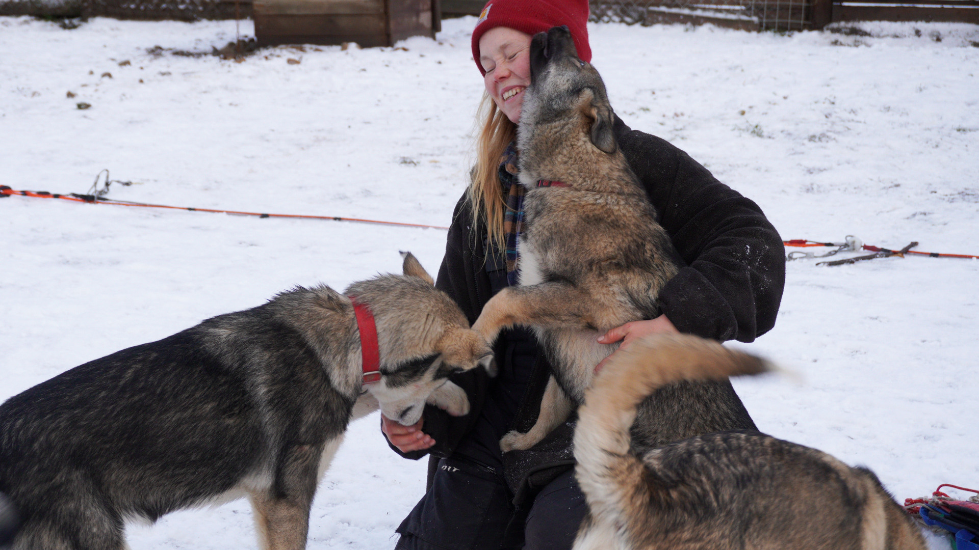 Lapland Municipalities & Job Opportunities House of Lapland