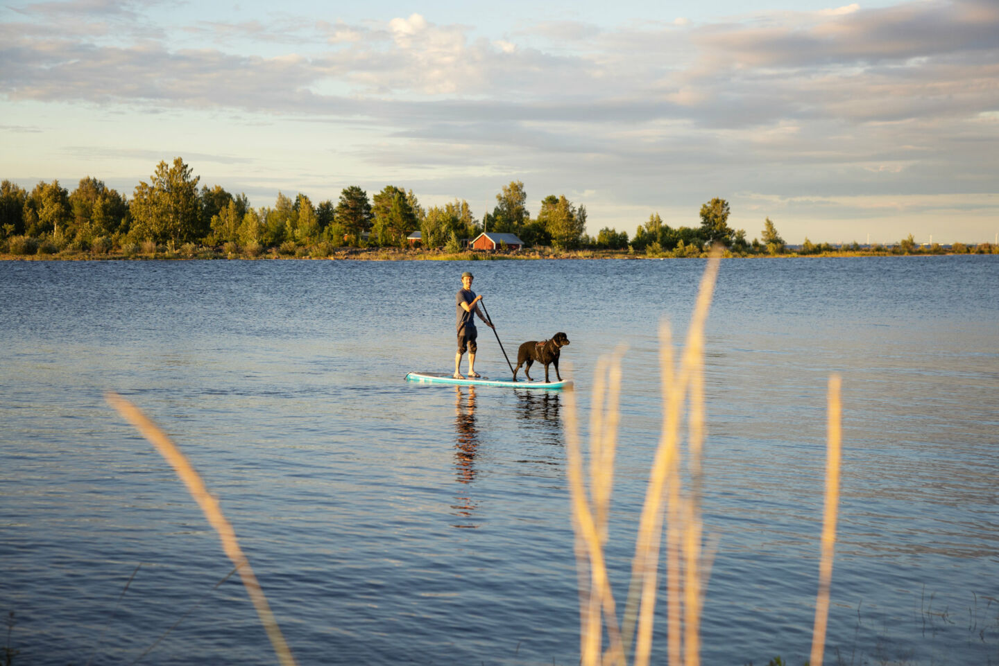 SUP boarding with a dog in the archipelago national park in Kemi, a Finnish Lapland filming location