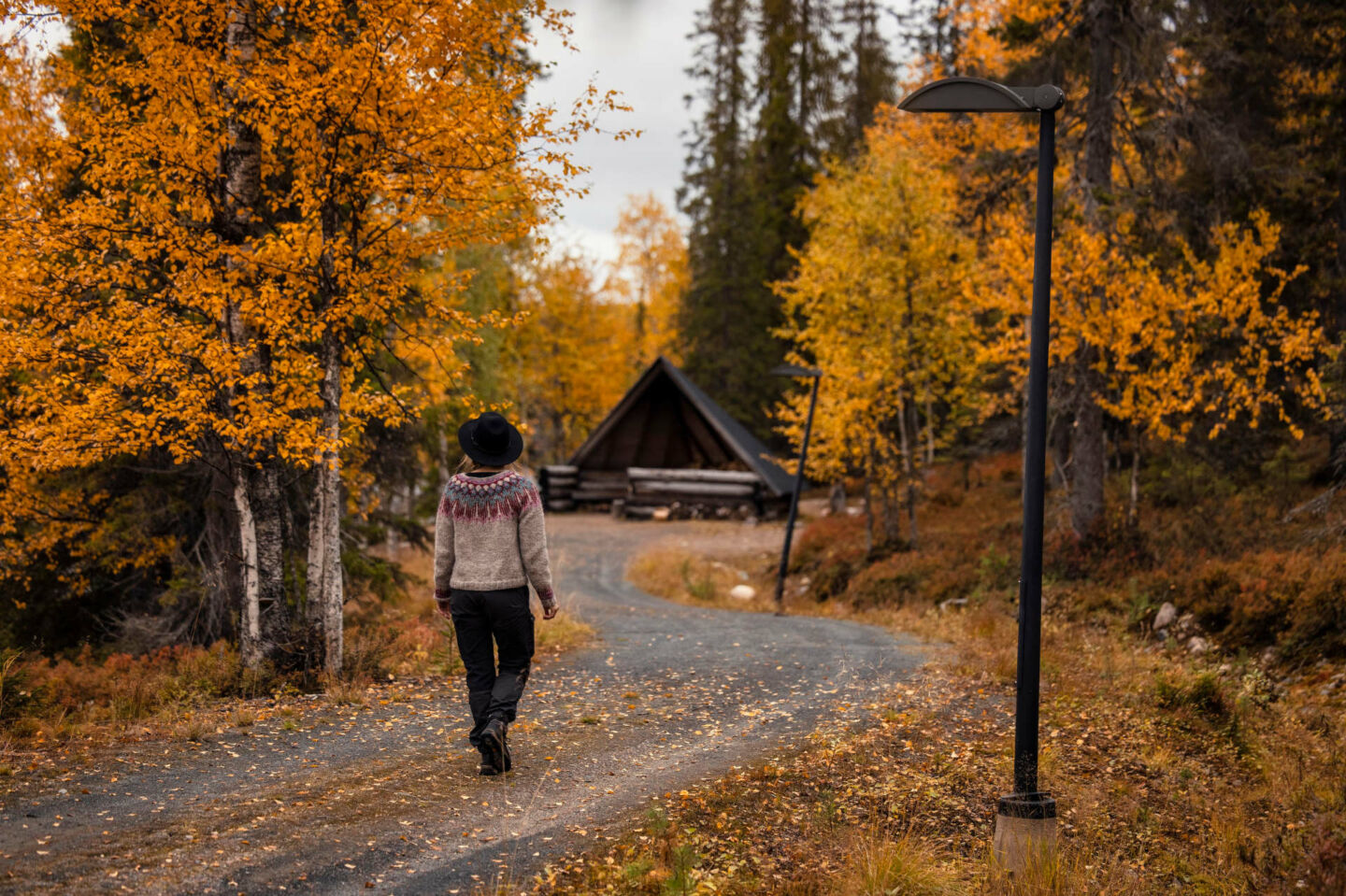 A forest hiking path in autumn in Posio, a Finnish Lapland filming location