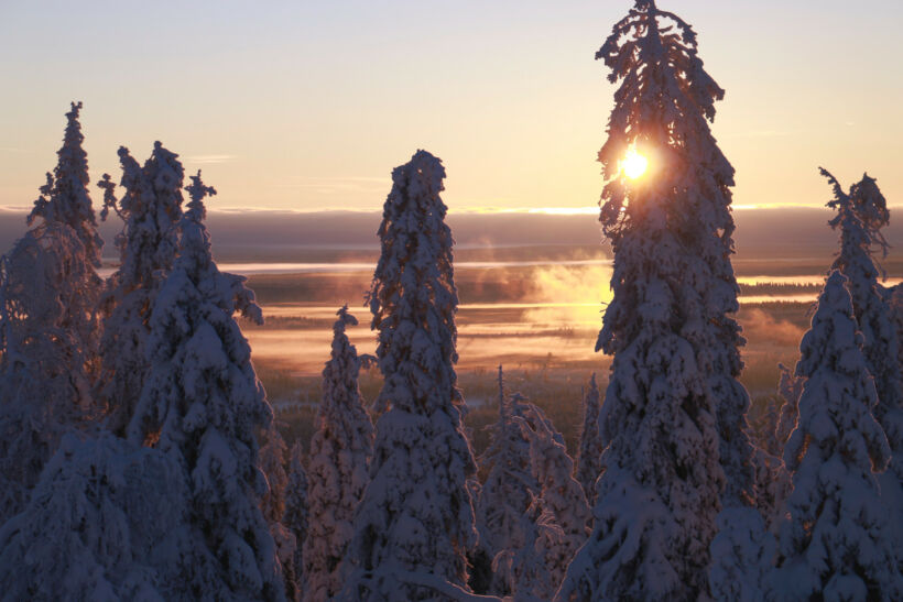 Sunrise over the snowy trees of Posio, a Finnish Lapland filming location