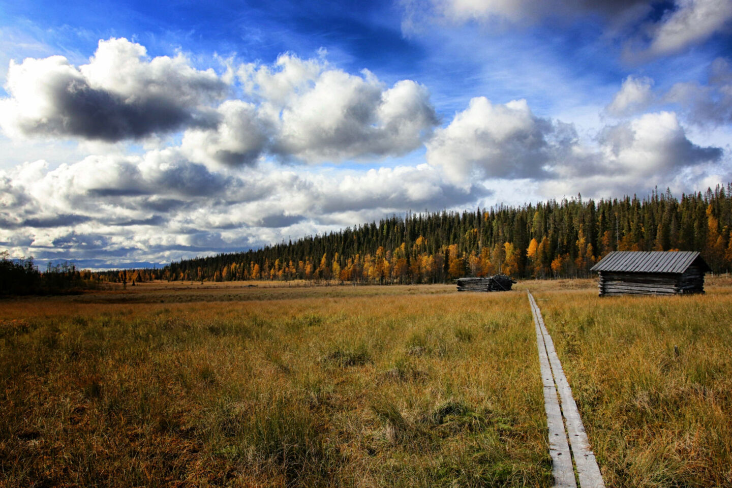 An autumn hiking path in Posio, a Finnish Lapland filming location