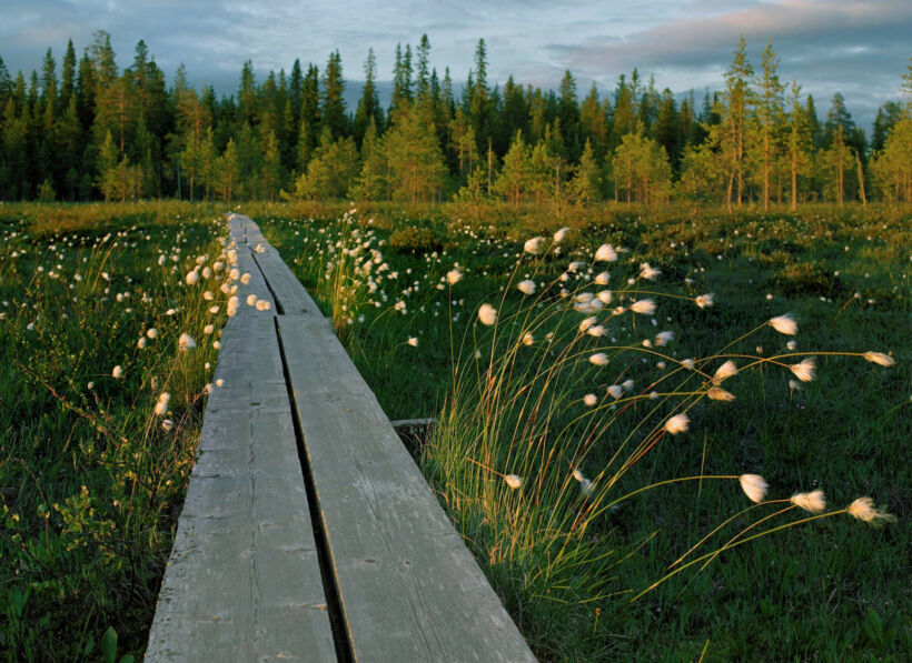 Simo, a nature retreat destination in Finnish Lapland